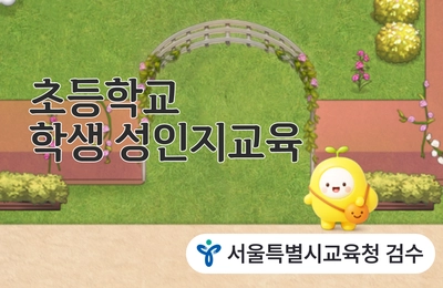 초등학교 학생 성인지교육